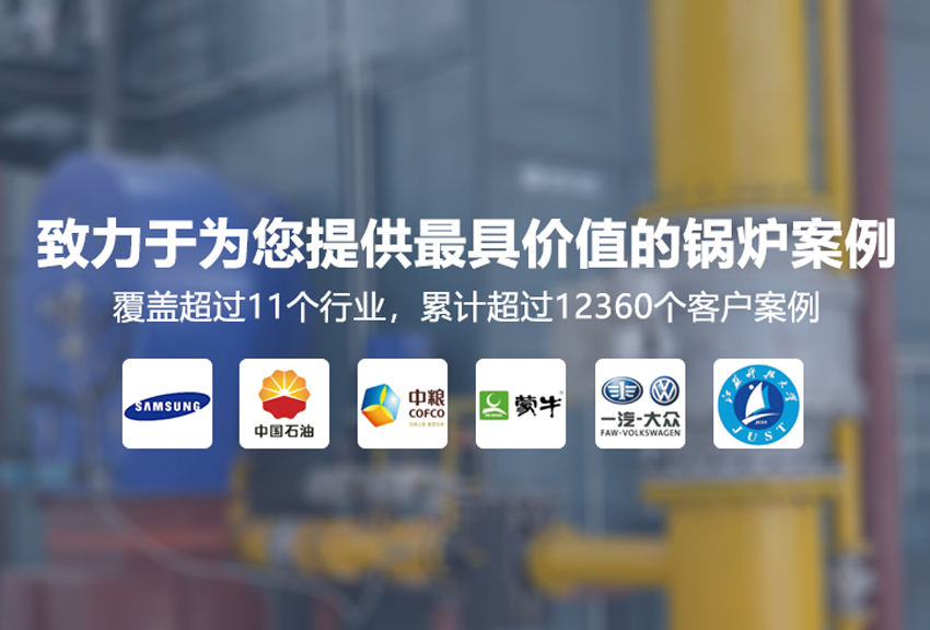 进口燃气锅炉品牌案例